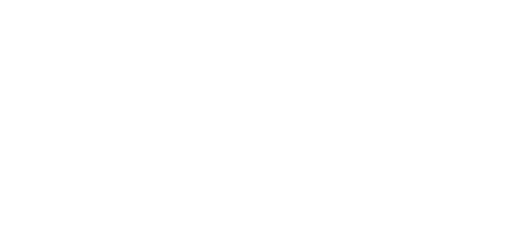 lead info zw